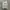 Mark Gonzales Minimalist Hoody Pria gray photo 1