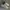 Adidas Streetwear Sportswear Sneakers Pria white black photo 1