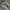 Adidas Streetwear Sportswear Sneakers Pria white black photo 3