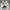 Nike Minimalist Hoody Pria white black photo 2
