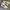 Nike Streetwear Casual Sneakers Pria white black photo 2