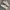 Nike Streetwear Casual Sneakers Pria white gray photo 3