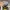 Nike Streetwear Casual Sneakers Pria white gray photo 8