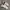 Nike Streetwear Casual Sneakers Pria white gray photo 1