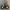Nike Streetwear Casual Sneakers Pria white gray photo 7