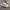 Nike Streetwear Casual Sneakers Pria white gray photo 5