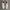 Nike Streetwear Casual Sneakers Pria white gray photo 4