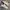 Nike Streetwear Casual Sneakers Pria white gray photo 2