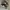 Nike Streetwear Casual Sneakers Wanita white black photo 3