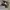 Nike Streetwear Casual Sneakers Wanita white black photo 2