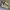 New Balance Streetwear Casual Sneakers Pria white gray photo 1