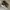 Adidas Streetwear Casual Sneakers Pria white black photo 1