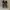 Adidas Streetwear Casual Sneakers Pria white black photo 4
