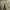 Nike Streetwear Casual Sneakers Pria white black photo 7