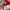 Burberry Vintage Streetwear T-shirt Pria red gray photo 4