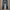 Vintage Jeans Pria navy photo 1