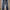 Vintage Jeans Pria Navy