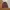 Frank Stone Casual Bomber jacket Pria red photo 5