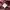 Frank Stone Casual Bomber jacket Pria red photo 8