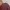 Frank Stone Casual Bomber jacket Pria red photo 6