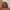 Frank Stone Casual Bomber jacket Pria red photo 1