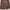 Casual Short Pria brown photo 1