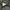 Nike Casual Track jacket Pria green photo 4