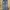 Japanese brand Vintage Jeans Pria navy blue photo 2