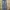 Japanese brand Vintage Jeans Pria navy blue photo 1