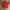 Vintage Y2K Polo shirt Pria red photo 1
