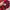 Adidas Sportswear Jersey Pria red black photo 4