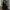 Shein Goth Emo Maxi skirt Wanita black photo 2