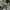 Timberland Vintage Y2K Polo shirt Pria white gray photo 3