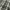Timberland Vintage Y2K Polo shirt Pria white gray photo 4