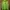 Marmot Streetwear Sportswear Windbreaker Pria green photo 1
