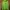 Marmot Streetwear Sportswear Windbreaker Pria Green