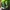 Marmot Streetwear Sportswear Windbreaker Pria green photo 7