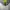 Marmot Streetwear Sportswear Windbreaker Pria green photo 5