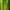 Marmot Streetwear Sportswear Windbreaker Pria green photo 6