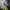 Marmot Streetwear Sportswear Windbreaker Pria green photo 4