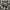 Thruxton Vintage Y2K Casual shirt Pria white black photo 2