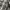 Thruxton Vintage Y2K Casual shirt Pria white black photo 5
