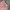Streetwear Casual Casual pants Pria multicolor pink photo 3