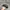 Noah Streetwear Skater Hat Pria Black Gray