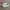 Adidas Casual Sneakers Pria white photo 1