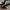 Adidas Casual Sneakers Pria white black photo 2