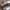 Adidas Casual Sneakers Pria white brown photo 2