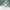 Adidas Gorpcore Sportswear Hoody Pria green photo 4