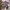 Urban Research Vintage Y2K Casual shirt Pria burgundy white photo 5