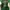 Casual Leather jacket Pria white green photo 2